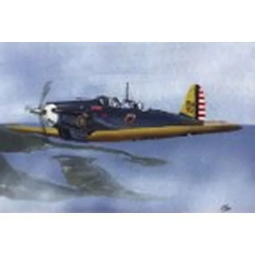 1/48 コンソリデーテッド PB-2A / P-30 【LF4813】 (プラモデル)