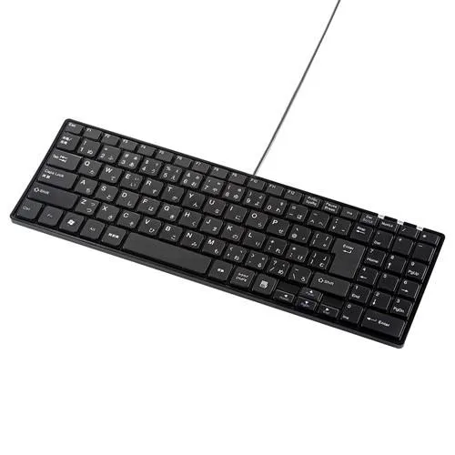 訳あり新品 USBキーボード コンパクト ブラック テンキー付 箱にキズ、汚れあり SKB-SL17BKN サンワサプライ