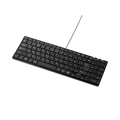 訳あり新品 静音コンパクトキーボード 有線 ブラック USB接続 テンキーあり パンダグラフ スリム 箱にキズ、汚れあり SKB-SL19BK サンワサプ