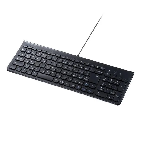 訳あり新品 USBキーボード タイプC接続 タブレット 薄型 テンキー付 ブラック SKB-SL31CBK サンワサプライ 外装パッケージにキズ、汚れあり