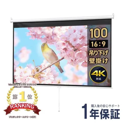 プロジェクタースクリーン 100インチ 16:9 吊り下げ 天井 壁掛け ホームシアター 巻き上げ ロール式 防炎 おすすめ EEX-PST1-100HD