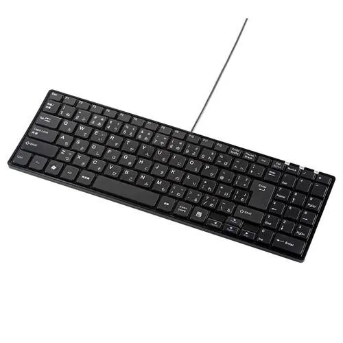 静音キーボード コンパクト 有線 USB接続 テンキーあり パンダグラフ式 スリム ブラック SKB-SL19BK サンワサプライ