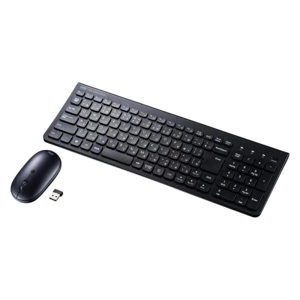 ワイヤレスキーボード マウス付 無線 テンキーあり パンタグラフ ブラック SKB-WL31SETBK サンワサプライ