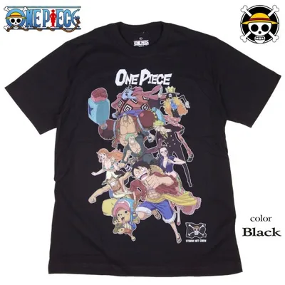 ONE PIECE Tシャツ ワンピース 半袖 ルフィ サンジ ゾロ ナミ ロビン チョッパー ブルック フランキー ウソップ メンズ アニメ グッズ レディース 麦わら海賊団