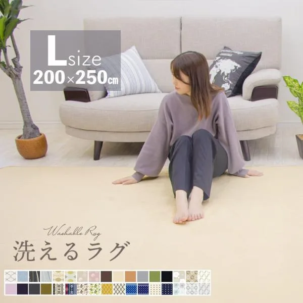 ラグ カーペット ラグマット 洗える 3畳 200×250 オールシーズン おしゃれ 秋 冬 北欧 絨毯 抗菌 防ダニ フリーリー