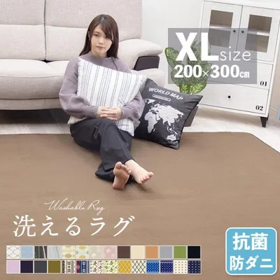 ラグ カーペット ラグマット 3.5畳 洗える 200×300 オールシーズン おしゃれ 秋 冬 北欧 絨毯 抗菌 防ダニ フリーリー