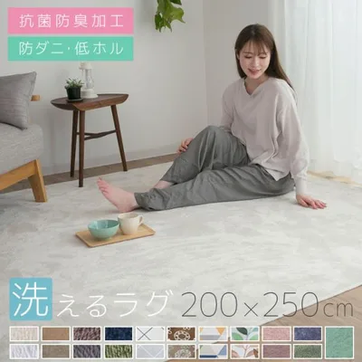 ラグ カーペット 洗える 3畳 おしゃれ オールシーズン 200×250 防ダニ ラグマット 滑り止め付 フランネル ホットカーペット 床暖房対応 北欧 洗えるラグ