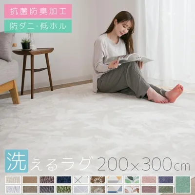 ラグ カーペット 洗える 4.5畳 おしゃれ オールシーズン 200×300 防ダニ ラグマット 滑り止め付 フランネル ホットカーペット 床暖房対応 北欧