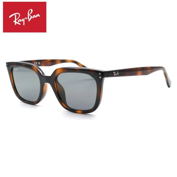 【RayBan】レイバン RB4439D 710/87 サングラス ルックスオティカジャパン正規品 送料無料 メンズ レディース ブランド ボストン 定番 UVカット 伊達メガネ 人気