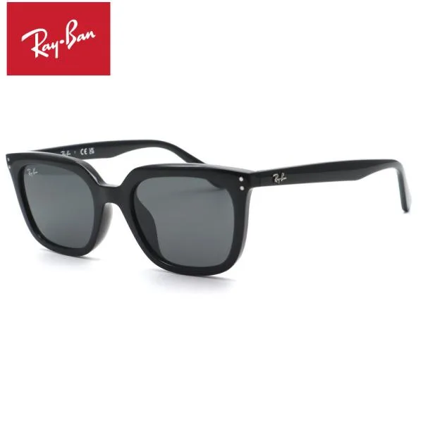 【RayBan】レイバン RB4439D 901/87 サングラス ルックスオティカジャパン正規品 送料無料 メンズ レディース ブランド ボストン 定番 UVカット 伊達メガネ 人気