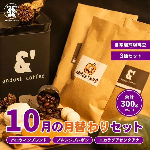 コーヒー豆 福袋 送料無料 珈琲豆 10月 月替わりセット 300g 約30杯分 焙煎後すぐ発送 コーヒー 豆