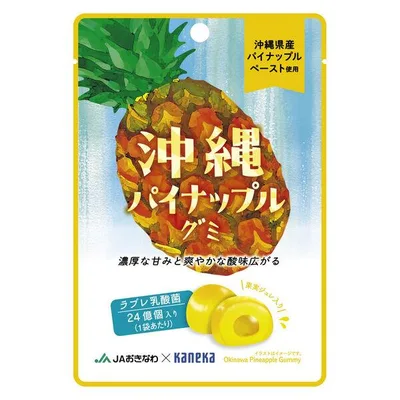 【アウトレット】カネカ食品 沖縄パイナップルグミラブレ乳酸菌 1セット(2個入)