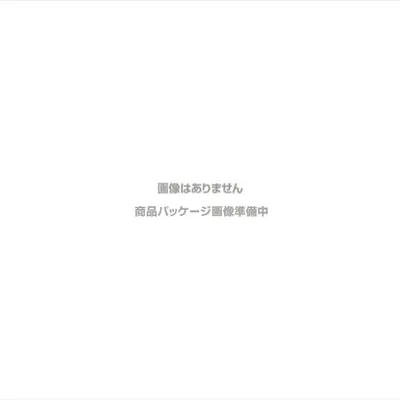 ウィザーズ・オブ・ザ・コースト MTG マジック:ザ・ギャザリング ローウィンの昏明 プレイ・ブースター 日本語版