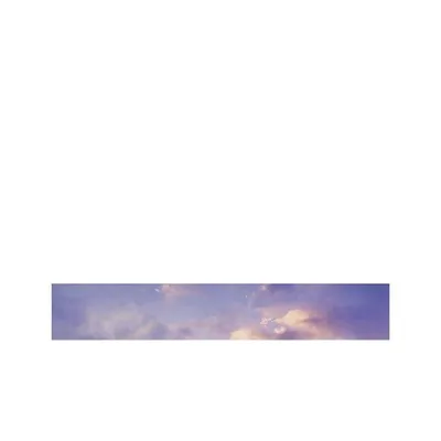 Fate/Grand Order 10th Anniversary “OVER THE SAME SKY" advertising works FGO 10周年 広告イラスト集 画集 公式グッズ