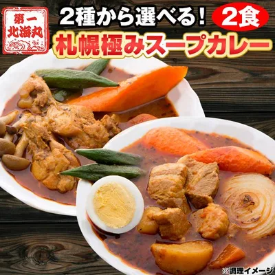 カレー スープカレー レトルト 選べる 2食セット 送料無料 チキン 豚角煮 スープカレー 2種類 北海道 スパイス レトルト ポイント 消化