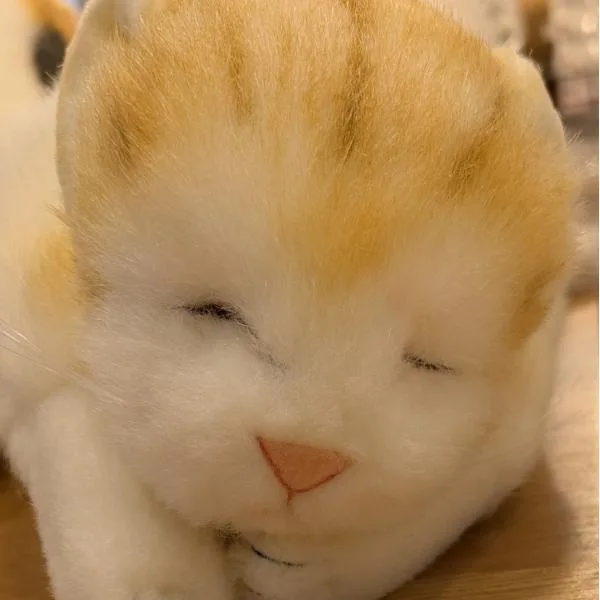 トラネコ 茶 L 童心 日本製リアルシリーズ ぬいぐるみ 猫 ネコ 目あき 眠り