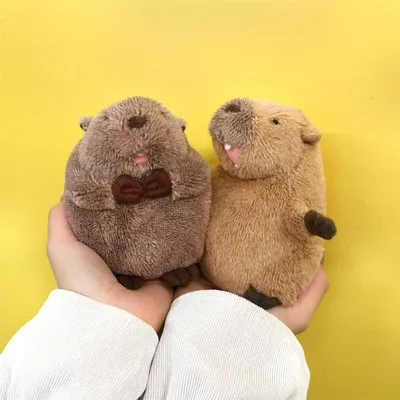 ぽちゃまる S マーモット ビーバー ぬいぐるみ 内藤デザイン研究所