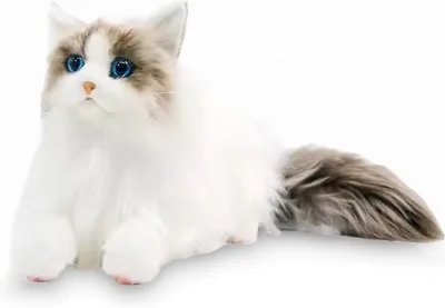 猫 リアル ぬいぐるみ 本物そっくり 猫のぬいぐるみ ねこ ネコ ふわふわ インテリア ネコ好き 長毛 白 人形 ドール(ホワイト)