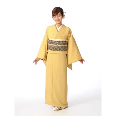 色無地レンタル8AD13/レンタル/色無地/着物/きものレンタル/149cm〜171cm位まで/パーティー/お宮参り/お通夜/法事/七五三/入学式/往復送料無料 爆買