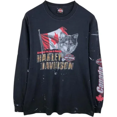 古着 ハーレーダビッドソン Harley-Davidson モーターサイクル ロングTシャツ ロンT メンズL相当 /eaa677796