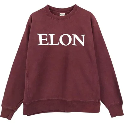 古着 00年代 チャンピオン REVERSE WEAVE リバースウィーブ Elon University カレッジスウェットシャツ トレーナー メンズL相当 /eaa680184