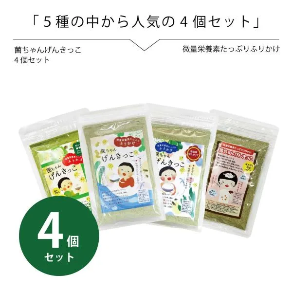 腸活 野菜 ふりかけ 無添加 菌ちゃんげんきっこ 5種から人気の4個セット ポスト投函 送料無料