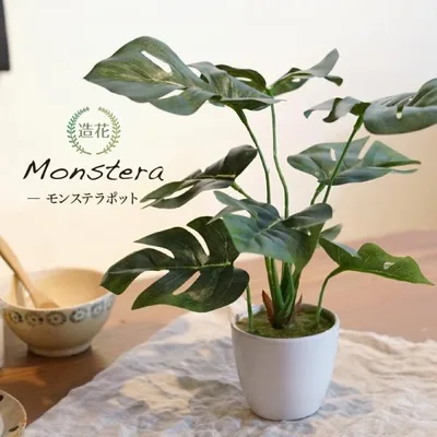 フェイクグリーン モンステラ ミニ 卓上 人工 観葉植物 造花 光触媒 消臭 おしゃれ インテリア MH-1003 母の日 / モンステラテーブルポット