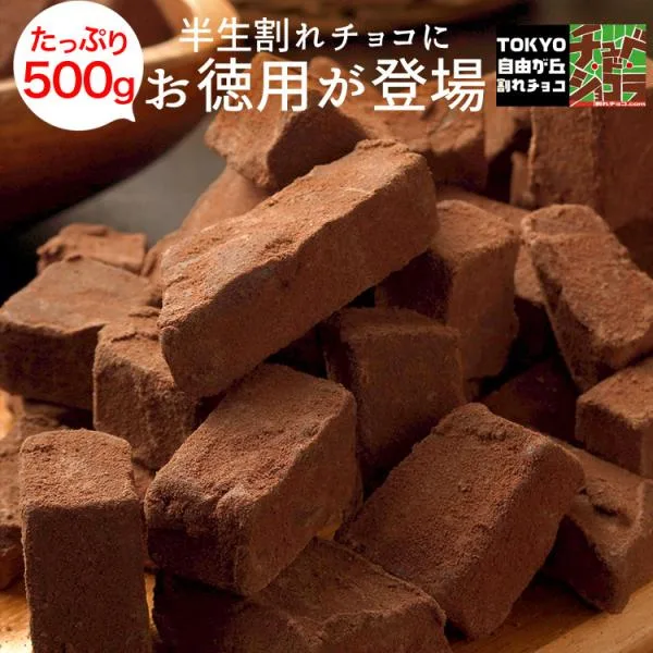 チョコレート 割れチョコ 徳用半生割れチョコ 500g チュベ・ド・ショコラ 生チョコ 爆買