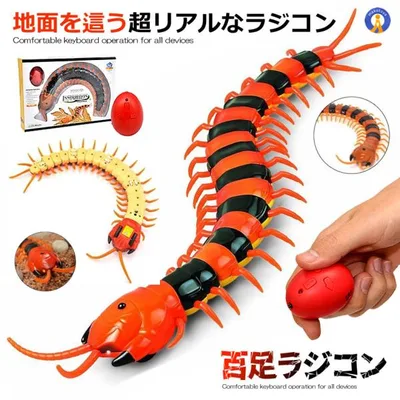 百足 ラジコン 超リアル 虫 教育 理科 科学 コントローラー付き 2CH 赤外線 電動 走る!! 昆虫シリーズ イベント サプライズ パーティグッズ RC-MUKA