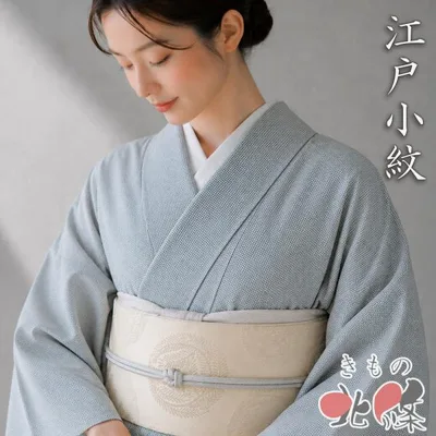 小紋 江戸小紋 着物 中古 正絹 袷 カジュアル 角通し 鼠色 身丈155cm 裄68.5cm SA きもの北條 A1402-3