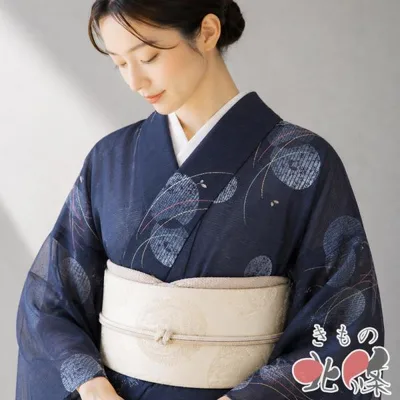 夏物 夏着物 小紋 着物 中古 正絹 絽 カジュアル 丸紋に植物文様 黒系色 多色 身丈156cm 裄66cm M きもの北條 A1404-2
