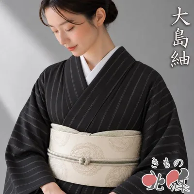 大島紬 着物 中古 正絹 袷 カジュアル ますいわ屋扱い 縦縞模様 鉄黒色 身丈152cm 裄63.5cm SA きもの北條 A1423-5