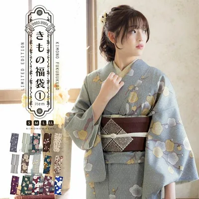 洗える着物 単品 「袷着物単品 全15柄」 きもの福袋から飛び出た着物単品 サイズS/M/L/LL 小紋 (メール便不可)