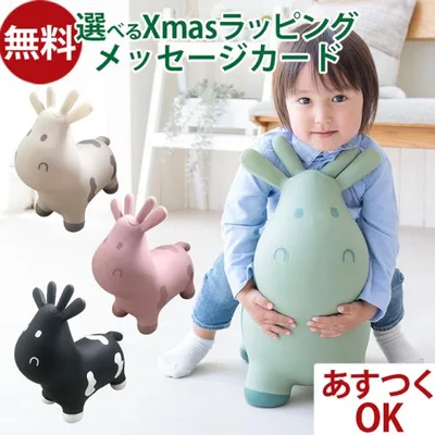 \送料無料/ Tryco トライコ|スキッピー 空気入れ付き|遊具 乗用玩具 バランス感覚 体幹 屋内 屋外 |1歳から| ベルギー 知育玩具 お誕生日 ギフト