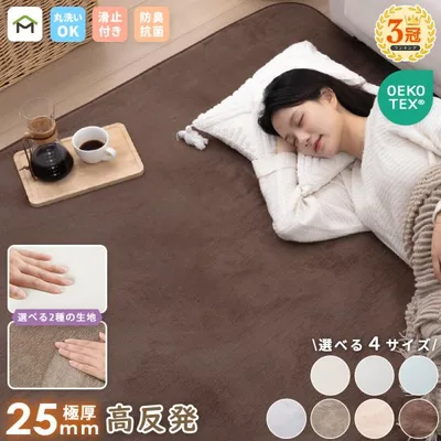 ラグ 厚手 25mm 2畳 3畳 洗える ラグマット 高反発 185x240cm フランネル 防音 滑り止め付 床暖房 ホットカーペット対応 こたつ 対応 正方形 長方形 絨毯 北欧