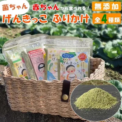 ふりかけ 菌ちゃんげんきっこ 元気っこ 無添加 栄養 菌ちゃんファーム 腸活 野菜 子供 無添加 ちょい足し 離乳食 海のミネラル 野菜 発酵力 食材 爆買