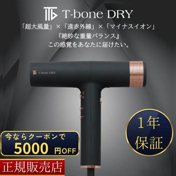 正規販売店 T-bone DRY ティーボーンドライ ケアドライヤー 武田 TKD-OD 01 サロン専売品 業務用 大風量 マイナスイオン