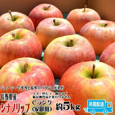 シナノリップ Cランク(家庭用)約5kg (14〜18玉) 長野県産 クール便 送料無料 フルーツ りんご お取り寄せ 8月中旬頃〜下旬頃