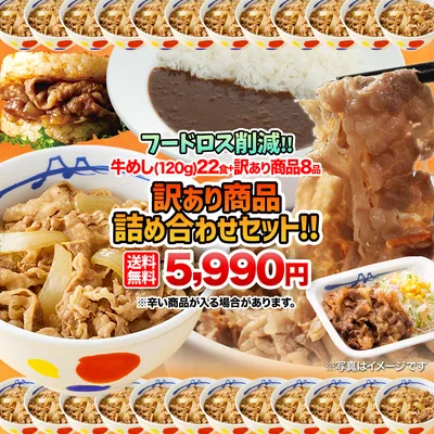 (1食200円!フードロス削減) 松屋 牛めし(120g)22食+訳あり商品(8品)計30食が入ったお得な訳あり商品詰合せ福袋! 訳あり 冷凍食品 賞味期限近い セット 非常食