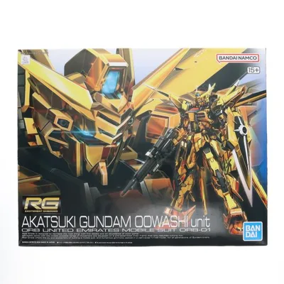 『中古即納』{PTM} RG 1/144 アカツキガンダム(オオワシ装備) 機動戦士ガンダムSEED DESTINY(シード デスティニー) プラモデル バンダイスピリッツ(20241214)
