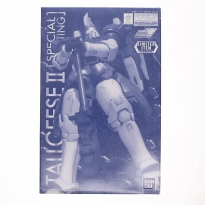 『中古即納』{PTM} MG 1/100 OZ-00MS2 トールギスII スペシャルコーティング 新機動戦記ガンダムW(ウイング) プラモデル(0228312) バンダイ(20180630)
