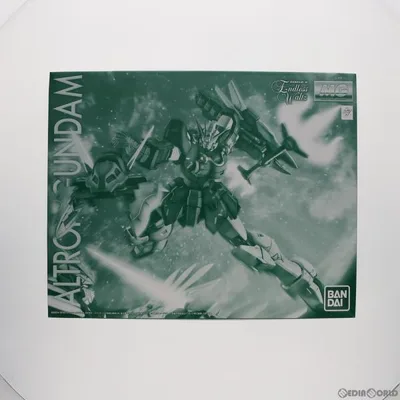 『中古即納』{PTM} MG 1/100 XXXG-01S2 アルトロンガンダム EW 新機動戦記ガンダムW Endless Waltz プラモデル バンダイスピリッツ(20180430)