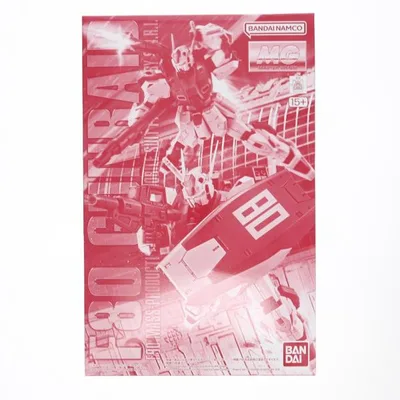 『中古即納』{PTM} プレミアムバンダイ限定 MG 1/100 F80 ガンレイド 機動戦士ガンダムF90クラスター プラモデル(5068608) バンダイスピリッツ(20250620)