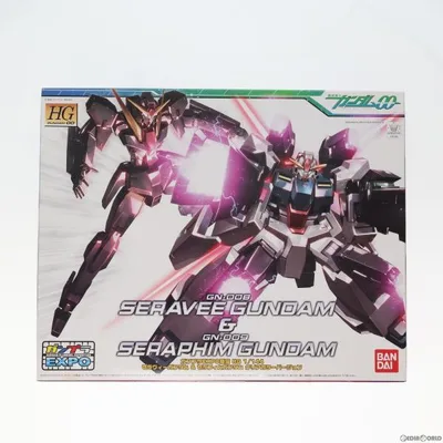 『中古即納』{PTM} ガンプラEXPO限定 HG 1/144 GN-008 セラヴィーガンダム&GN-009 セラフィムガンダム クリアカラーバージョン プラモデル バンダイ(19991231)