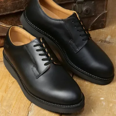 ダナー Danner ポストマン 2 D212100 FW25 POSTMAN 2 メンズ 靴 ワークシューズ ビジネス カジュアル BLACK 正規取扱店