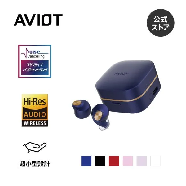 ワイヤレスイヤホン AVIOT TE-Q3R ノイズキャンセリング Bluetooth 5.3 マルチポイント対応 医療用シリコン採用 最大42時間再生 外音取込 IPX4防水