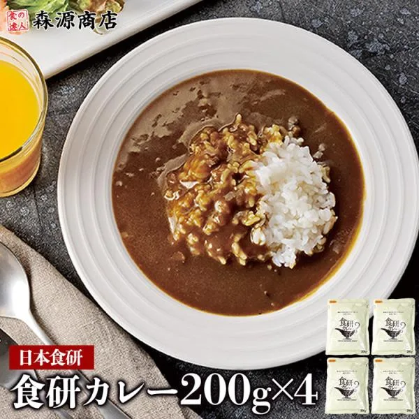 カレー 200g×4袋 食研カレー 中辛 常温便 業務用 レトルトカレー 日本食研 代引不可 着日指定不可