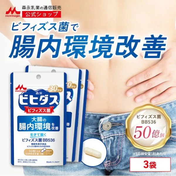 腸内環境サプリ ビフィズス菌 サプリ 【公式】森永乳業 乳酸菌 生きて届く ビフィズス菌 BB536 3袋 約90日分 乳酸菌 サプリメント ビヒダス