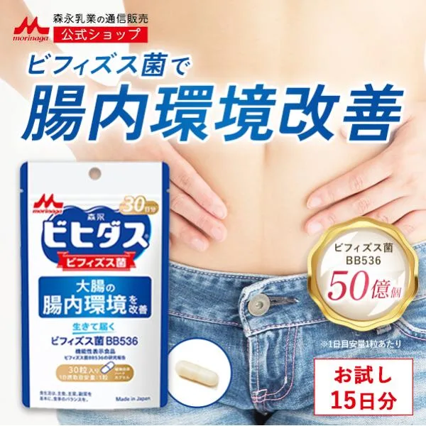 腸内環境サプリ ビフィズス菌 サプリ 【公式】森永乳業 乳酸菌 生きて届くビフィズス菌 BB536 1袋 約15日分 乳酸菌 サプリメント ビヒダス