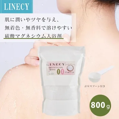 入浴剤 800g 1袋 大容量 汗 塩 塩化 ソルト 保湿 無添加 敏感肌 重炭酸 炭酸入浴剤 お風呂 半身浴 温泉 計量スプーン